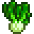 Bok Choy Stardew Valley